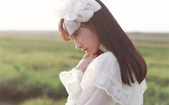 野花影视大全在线观看